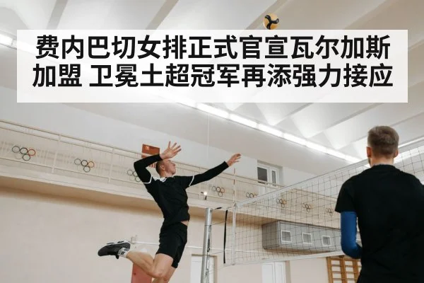 费内巴切女排正式官宣瓦尔加斯加盟 卫冕土超冠军再添强力接应
