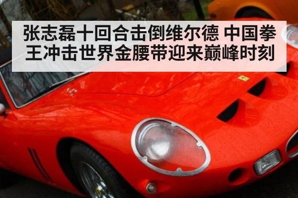 张志磊十回合击倒维尔德 中国拳王冲击世界金腰带迎来巅峰时刻